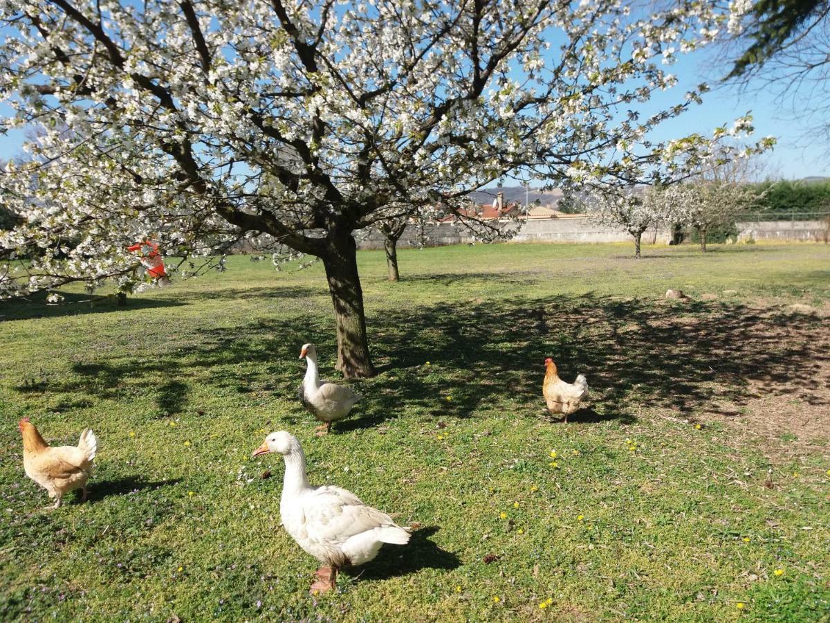 Appartamento Chez Anne Marie Beausemblant Esterno foto
